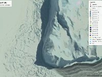 testa calcificata